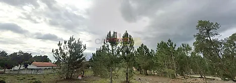 Land for sale in Alcobaça, Portugal — €122,000