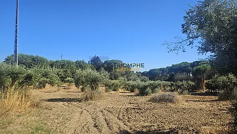 image-C0S65nXqQyl-0
