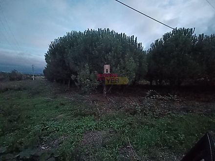 Land for sale in Batalha, Portugal — €87,500