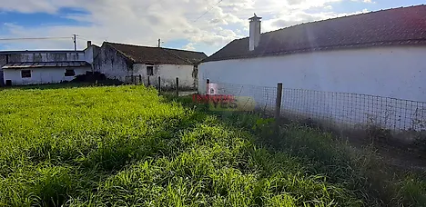 Land for sale in Tomar, Portugal — €89,000