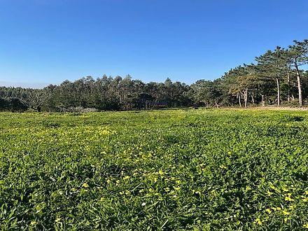 Land for sale in Alcobaça, Portugal — €150,000