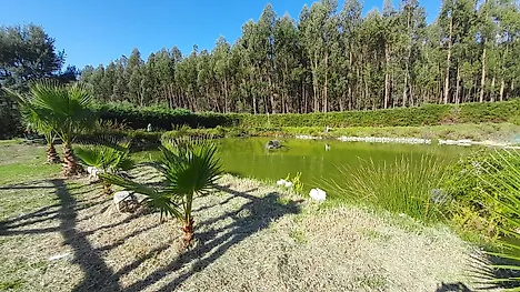 Land for sale in Tomar, Portugal — €312,000