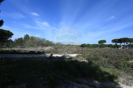 image-1Zrq5iefUuO-0