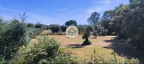 image-2OznW0HCSaq-0