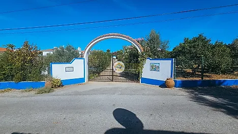 image-4CBfdgCwb6Z-0
