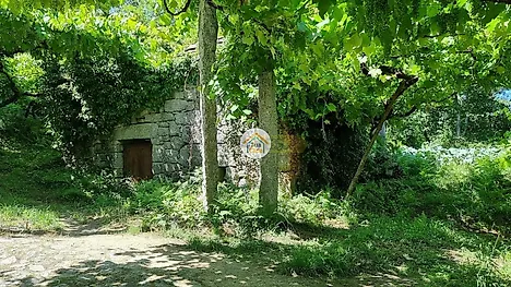 image-77DmnrJSNqZ-0
