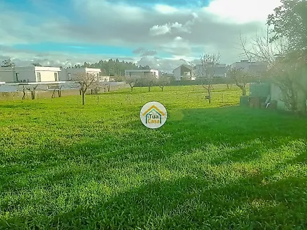 image-I8rDsy3sVYA-0