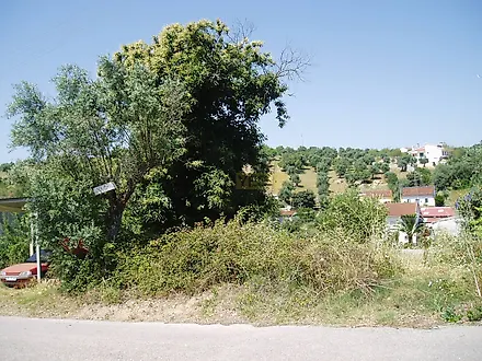 image-F3740GNdjM4-0