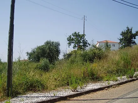 image-Kq2g8FnsZ3k-0