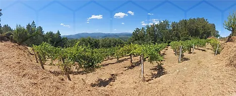image-8HHA3KWiuTR-0