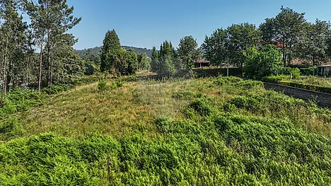 image-K1b9kUt88et-0