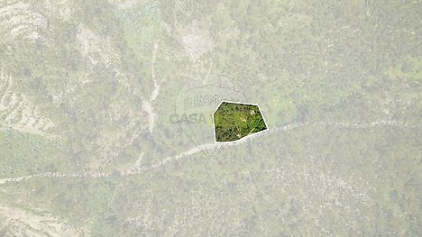 image-LQi7tHFDR4k-0