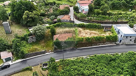 image-1mAvGuzcZ62-0