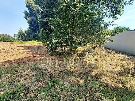 Land for sale in Valença, Portugal — €65,000