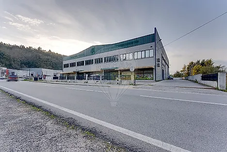 image-FpDaAeANB5E-0