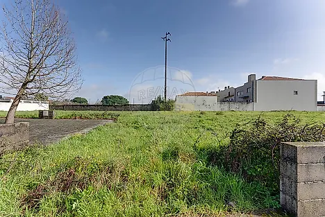 image-IAFAIS2vPx5-0