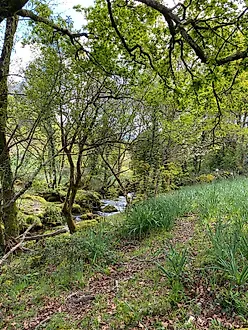 image-9tbvqkbVZzQ-0