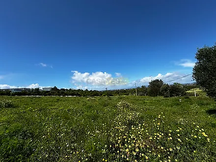 image-4EximlTQd4M-0