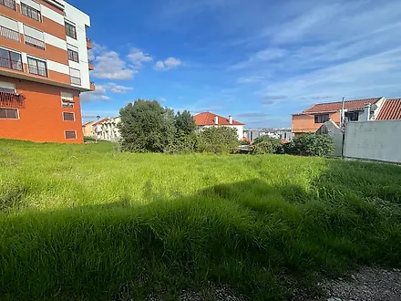 image-ClqhdjgEbAU-0