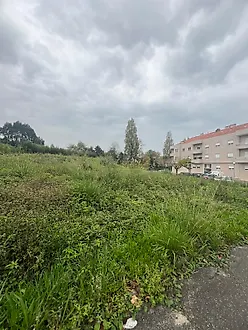 image-7UlrEJ5Mf2X-0