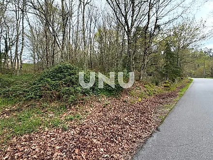 image-AmRUw1IbvTl-0