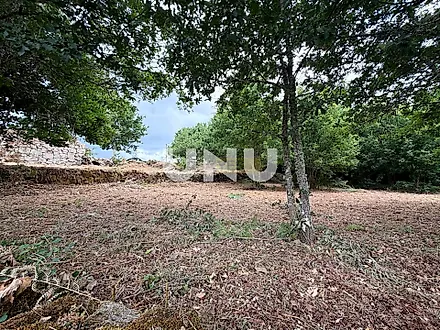 image-GfSXXijj9bE-0