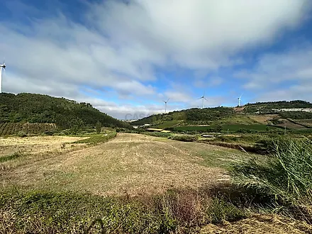 image-1lMEjjogP4f-0