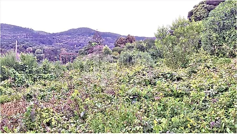 Land for sale in Cascais, Portugal — €1,300,000