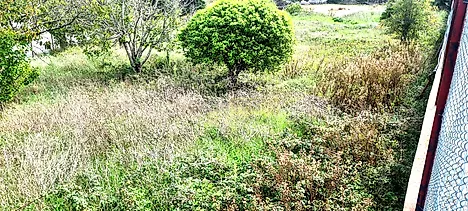 image-Js17BxehxH0-0