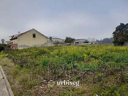 image-1jzWSuVyabY-0
