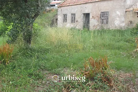 image-4Dm6qNSR2Eu-0