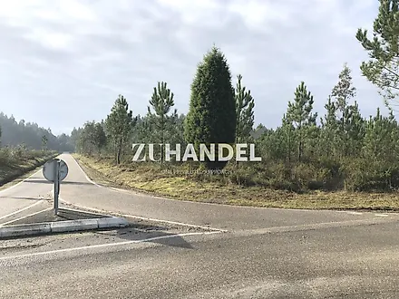 Land for sale in Anadia, Portugal — €322,000