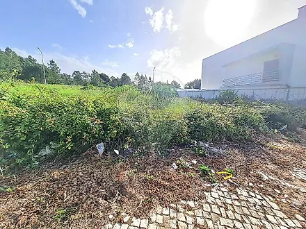 image-90gAYczevpL-0