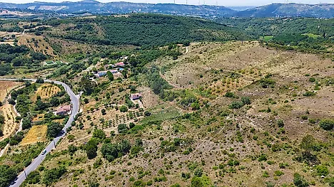 image-8QyXcHZkTUN-0