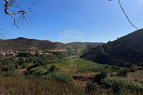 image-Hsb9UohBqzQ-0