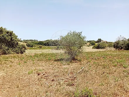 image-KJL3Xmf8x6H-0