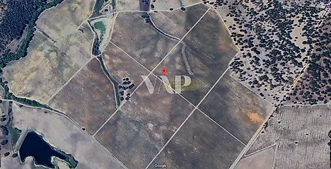 image-7kBIpzoXO95-0
