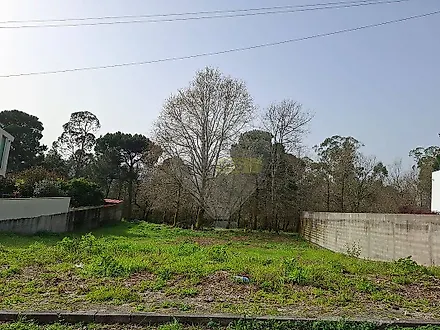 image-8p6E3i3QlwD-0
