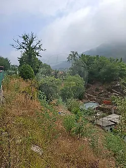 image-HYvOs10ymXb-0