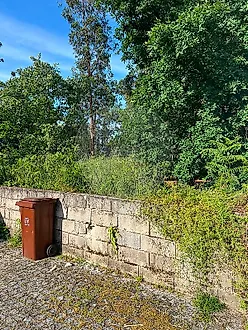 image-JbwyZpaHIQp-0