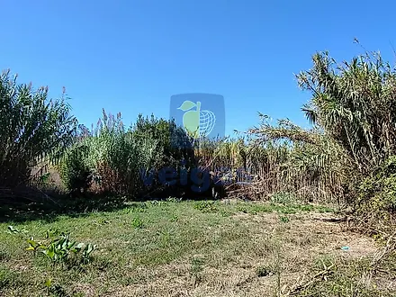 image-J78FYKriGpv-0