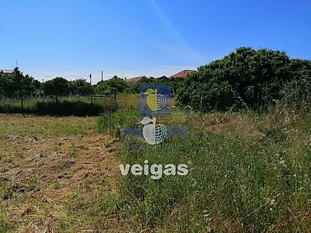 image-JYQpVXwoSGC-0
