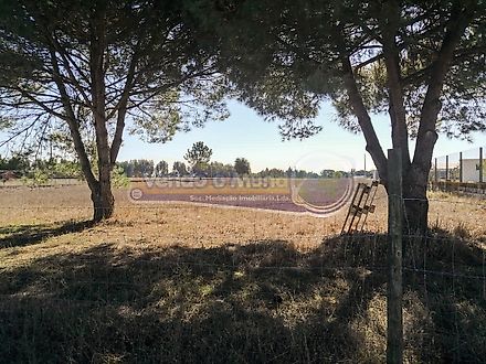 Land for sale in Benavente, Portugal — €85,000