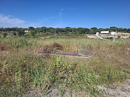 Terreno em Alcanena