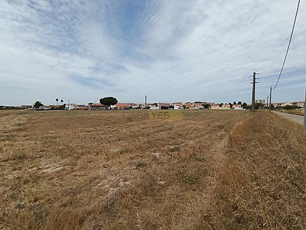 Land for sale in Benavente, Portugal — €850,000