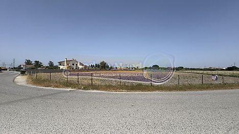 Land for sale in Benavente, Portugal — €365,000