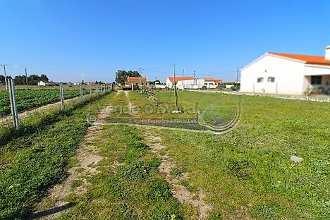 Land for sale in Salvaterra de Magos, Portugal — €81,500