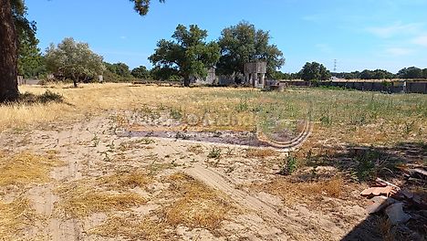 Land for sale in Benavente, Portugal — €210,000