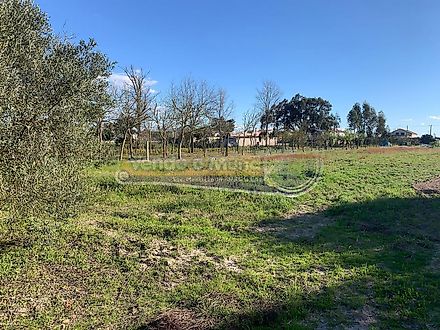 Land for sale in Salvaterra de Magos, Portugal — €58,000