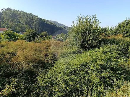 image-2zw6XCKYOv-0